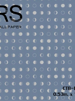 วอลเปเปอร์โมเดินท์ ลายจุดสีพื้นฟ้า จุดสีเงิน(Moroccan Style)CTB-D14