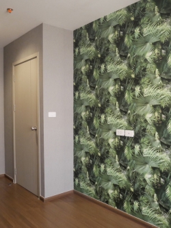 วอลเปเปอร์งานคอนโด อโศก