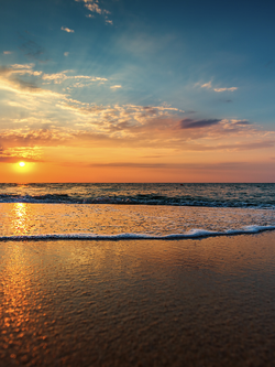 วอลเปเปอร์ภาพทะเล (สั่งผลิต)