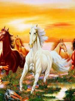 วอลเปเปอร์ เสริมฮวงจุ้ย ภาพรูปม้า SS1266