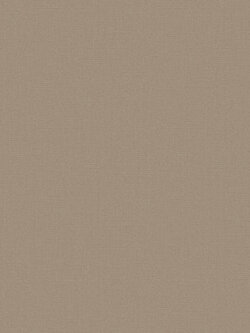 วอลเปเปอร์สีพื้นน้ำตาล ROM-R40W