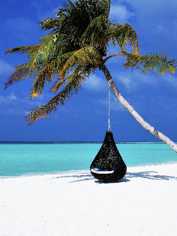 วอลเปเปอร์ภาพทะเล (สั่งผลิต)