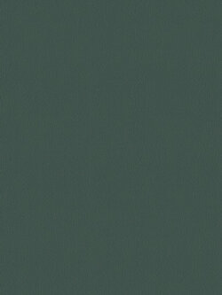 วอลเปเปอร์สีเขียว VC-D06W