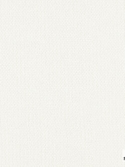 วอลเปเปอร์ สีเทาอ่อนสว่าง PLA1-F06W