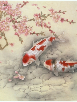 ปลาคราฟ เสริมฮวงจุ้ย