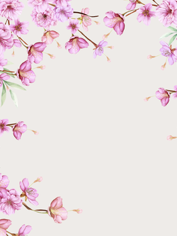 วอลเปเปอร์ภาพซากุระ (สั่งผลิต)