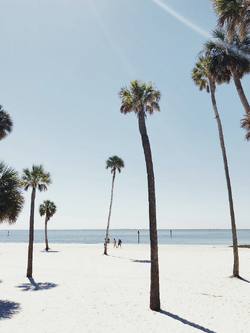 วอลเปเปอร์ภาพทะเล (สั่งผลิต)