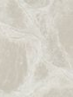 วอลเปเปอร์ลายอิฐ BS06