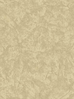 วอลเปเปอร์ ปูนเปลือย TL-F51