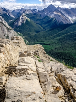 ภาพวิวสั่งผลิด วิวป่าภูเขาสูง