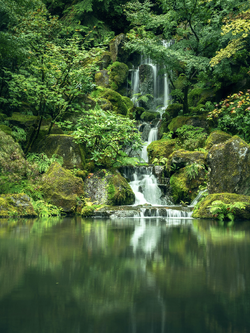 วอลเปเปอร์ภาพน้ำตก (สั่งผลิต)