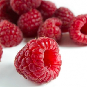 Seed Fruit เมล็ดพันธุ์ผลไม้