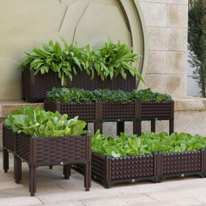 กระถางและถาดเพาะ