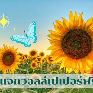 แนะนำเว็บไซต์ดาวน์โหลดรูปภาพฟรีไม่ติดลิขสิทธิ์