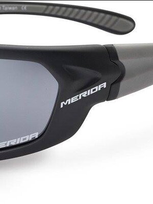 MERIDA : SUN GLASSES #2313000894