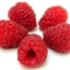 RED Raspberry Seeds ชุดใหญ่ 100 เมล็ด