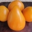 Tomato Seeds Heart Ashgabat Ukraine