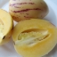 MURICATUM pepino melon