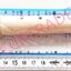 ขลุ่ยรีคอร์เดอร์+ก้านทำความสะอาดซอง 35.5 ซม.(1x3)