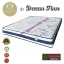 Dream Time ที่นอนสปริง