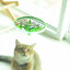 ๋H1-NEON DRONE โดรนไฟฟ้า
