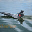 North Star RC Plane เครื่องบินน้ำบังคับ จรวดเวหา สเทิร์นน้ำสเทริ์นบก
