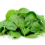 ผักโขมเขียว green-spinach