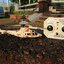 Augusta A109 mini copter 3.5