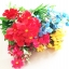 ดอกคลอเดีย 15 ดอก คละสี 33.5 ซม.