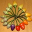 Bolivian Rainbow Chilli Chili Vegetable Seeds(20) เมล็ดพริก Bolivian Rainbow Chilli 20 เมล็ด