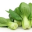 ผักกวางตุ้งต้น Pakchoi