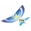 E-Bird นกบังคับวิทยุ