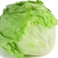ผักสลัดแก้ว/ผักกาดแก้ว Head Lettuce, Iceberg Crisp, Lettuce