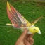 E-Bird นกบังคับวิทยุ