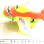 เครื่องบินใบพัดสีสด มีลาน 17 ซม.