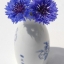 20000 เมล็ด 100 กรัม Centaurea Cornflower mixed flower