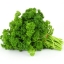 ผักพาสลีย์ Parsley