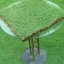 Grass Seed lawn grass
