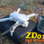 ZD013 GPS DRONE