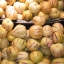 MURICATUM pepino melon