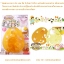 ++พร้อมส่ง++ พิมพ์กดอาหาร ผัก แฮม ชีส โบโลน่า ไข่เจียว พร้อมตัวกดสาหร่าย เพื่อตกแต่งไข่นกกระทา สินค้านำเข้าจากญี่ปุ่นแท้ พลาสติกจะหนา และเกรดดีกว่าของจีนมากนะคะ ที่ร้านมีให้เลือกทั้งของแท้และของจีนค่ะ