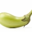 มะเขือยาวเขียว thai eggplant