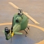 UH-1H Huey ฮิวอี้ (ฮ.กองทัพบก) 450