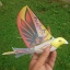 E-Bird นกบังคับวิทยุ