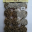 ข้าวแต๋นน้ำแตงโม หน้างาขาว-งาดำ แม่บัวจันทร์ (Pack 3 ถุง)