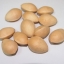 Ginkgo biloba gingko Maidenhair Tree seeds nuts Bonsai Tree