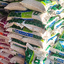 ิBetagro Feed อาหารวัวนมระยะให้นม เบทาโกร 024 โปรตีน 16 %