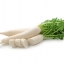 หัวไชเท้า/ผักไควาเระ Daikon