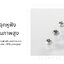 SHANLING SE100 จุกหูฟังซิลิโคนระดับพรีเมียม ลดความเพี้ยนฮาร์มอนิก มอบความชัดเจนของเสียง 1 คู่