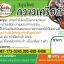 สมุนไพรกวาวเครือดำสำหรับท่านชาย แบบต้มช่วยเพิ่มสมรรถภาพทางเพศ ขนาด 100กรัม